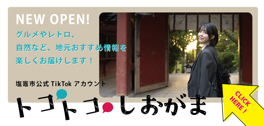 メイングラフィック：TikTok