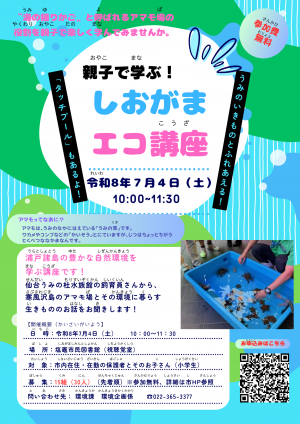 チラシ
