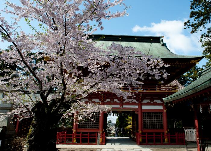 鹽竈神社春