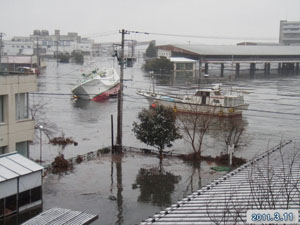 魚市場の画像11