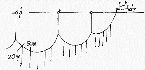 まぐろ延縄漁業の図