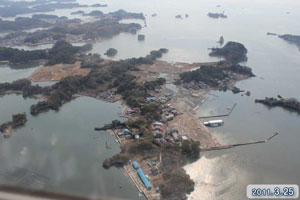 野々島の画像1