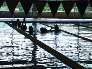 水泳教室の写真