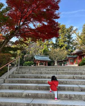 神社紅葉写真