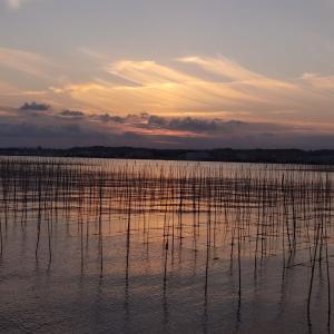 海の景色