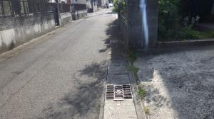 花立町　側溝に草が生えて流れが悪い