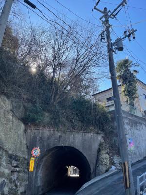北浜二丁目　隧道上の木が倒れそう