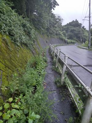梅の宮　歩道に草が生えて歩きにくい