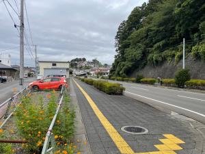 栄町　歩道の植栽が視界を遮り危険