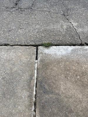 長沢町　道路から漏水している