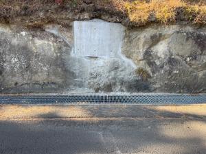 梅の宮　道路に落石している