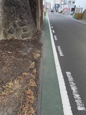 桜ヶ丘　道路脇に草が茂っており歩きにくい